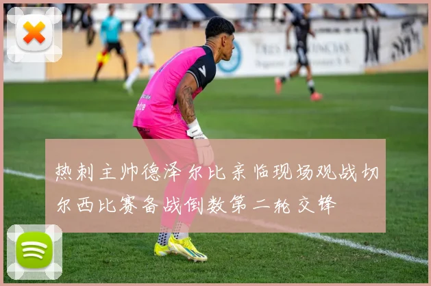 热刺主帅德泽尔比亲临现场观战切尔西比赛备战倒数第二轮交锋